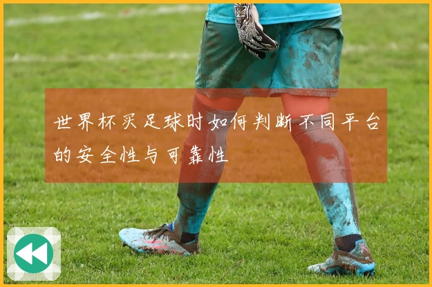 世界杯买足球时如何判断不同平台的安全性与可靠性