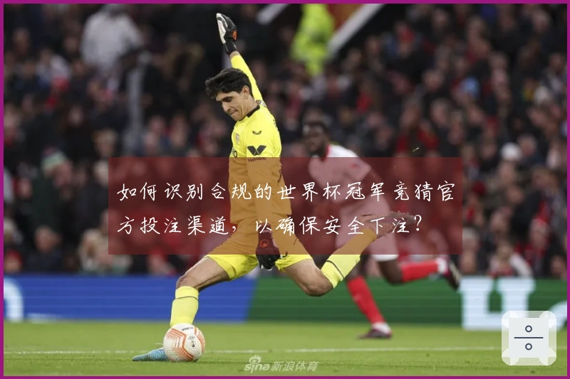 如何识别合规的世界杯冠军竞猜官方投注渠道，以确保安全下注？