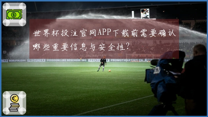 世界杯投注官网APP下载前需要确认哪些重要信息与安全性？